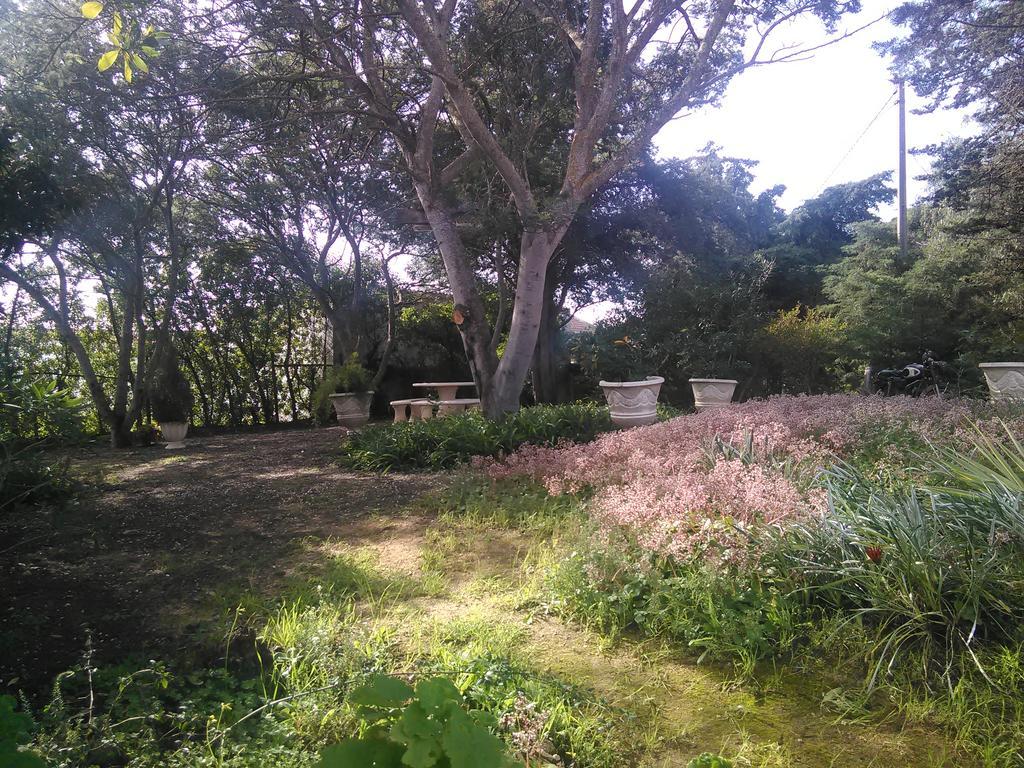 Nature Houses Lagos Exterior photo