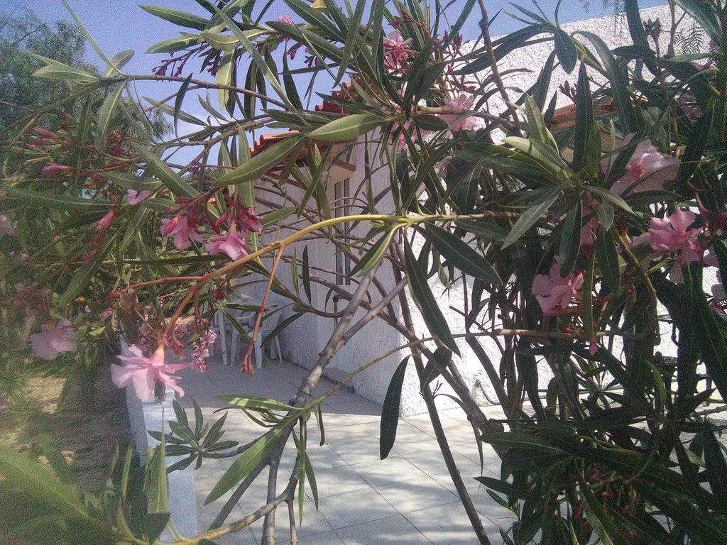 Nature Houses Lagos Exterior photo