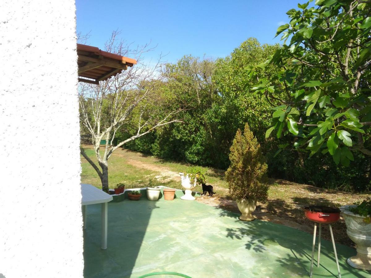 Nature Houses Lagos Exterior photo